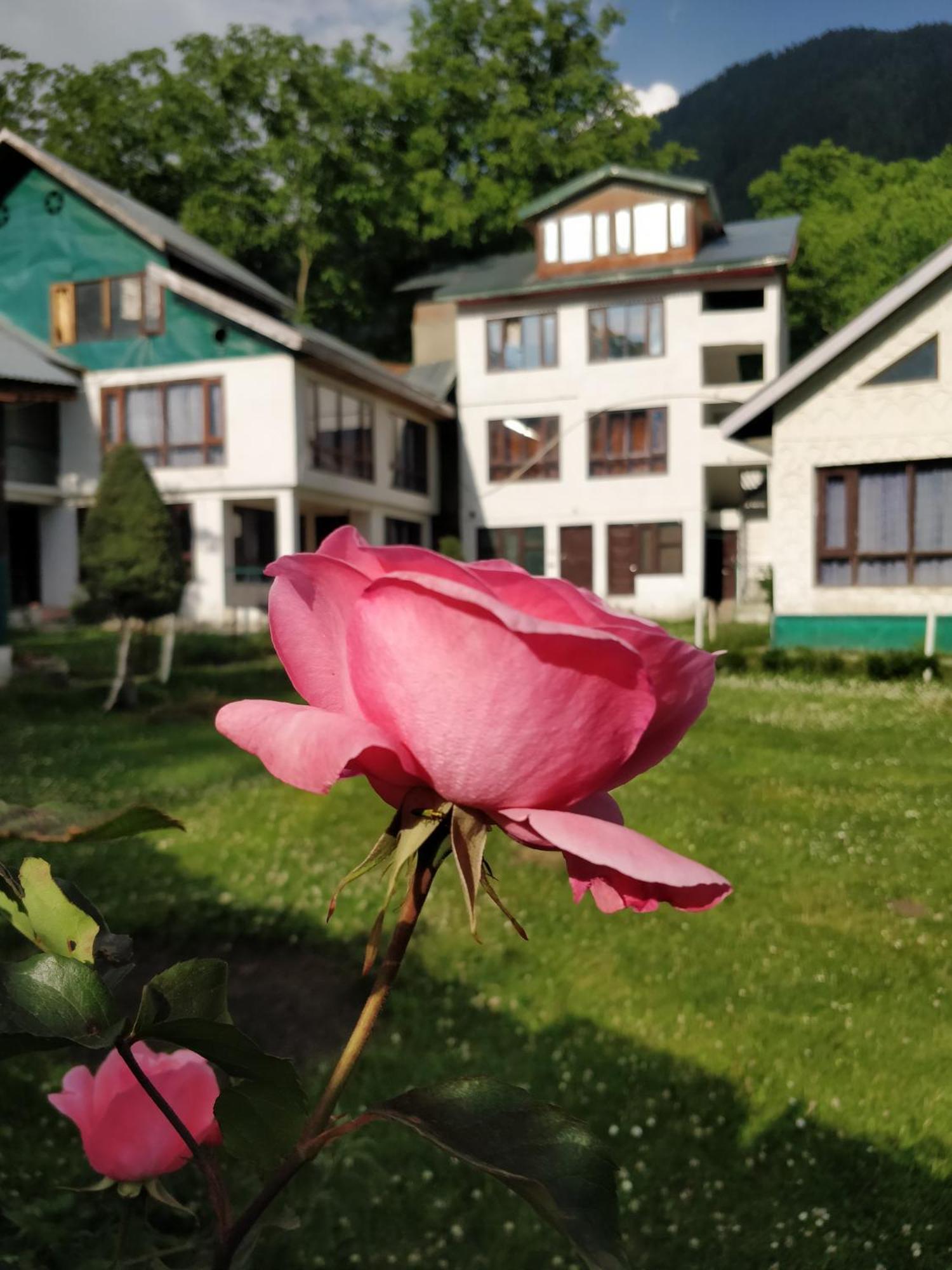The K2 Alpine Hotel Pahalgām Екстериор снимка